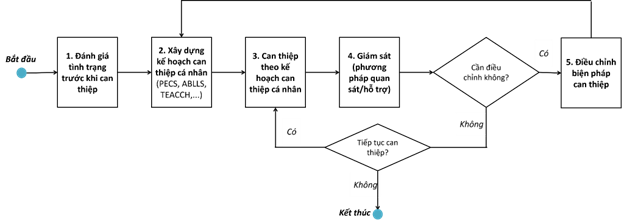 Minh họa sơ đồ chu trình can thiệp